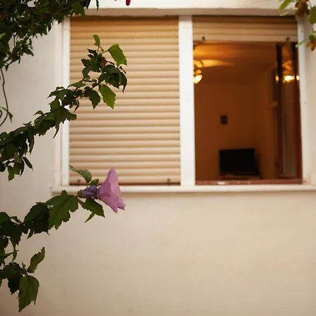Zuca Gostinjska kuća *